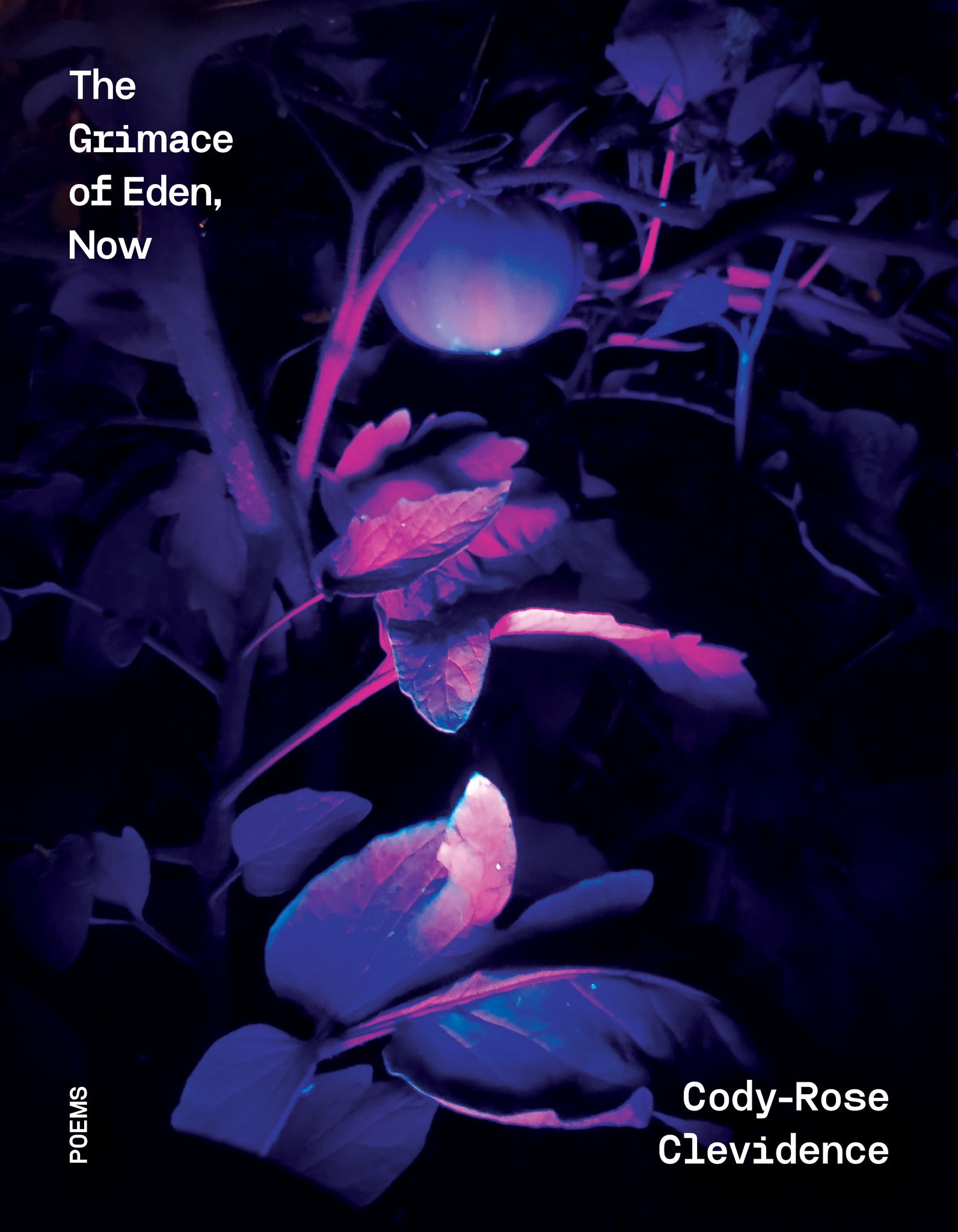 Cover image for The Grimace of Eden, Now ISBN 9781964499376